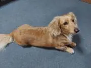うのの画像
