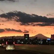 ローズの画像