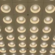 oikosの画像