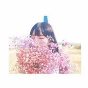杏