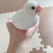 R✿