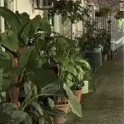 tjgの画像