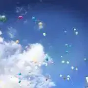 boni