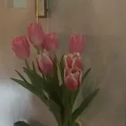 ふるかわの画像