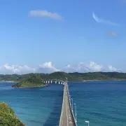 まさおの画像