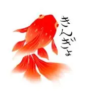 きんぎょちゃんの画像