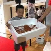 トンガリボーイ