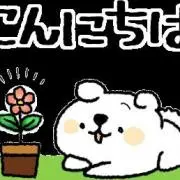 流れ星(☆o☆)