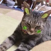 チコandポコ