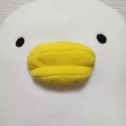 サリどんの画像