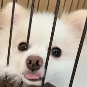 sadahal0404の画像