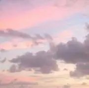 NICOの画像