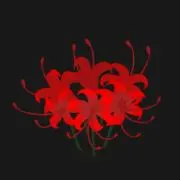 Lycorisの画像