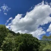 joyの画像