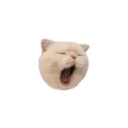 凛の画像