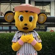 阪神虎娘　目指せ優勝！の画像