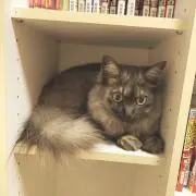 やまやの画像