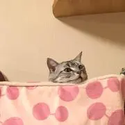 太郎