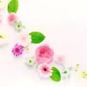 momonchacoの画像