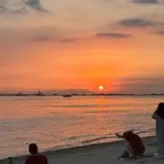 やびの画像