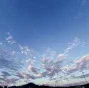 mimiの画像