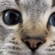 ☆まめ☆の画像