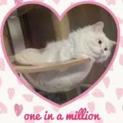 まるこ　おまとめ買い大歓迎♡の画像