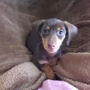 不二子