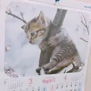muuuuwmin