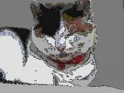 mikenekoの画像