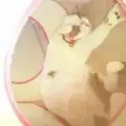 即購入であれば値下げokの画像
