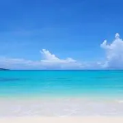 R⭐︎即購入OK⭐︎の画像