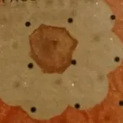 MALEの画像