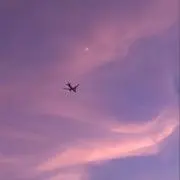 peachの画像