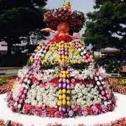 田中森