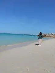 Lilyの画像