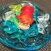 Kakkaの画像