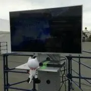 ちーの画像