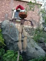 maxTの画像