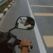ちっち