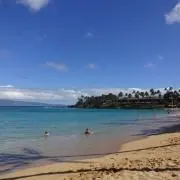 やよの画像