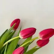 qxxzgcie02bs6x5h0kbeの画像