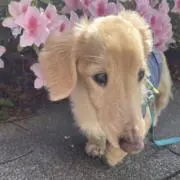 くーちゃん