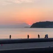 ちげまるの画像