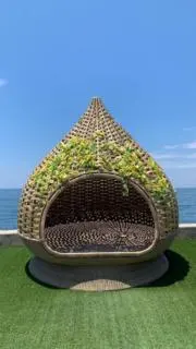 ちはやん