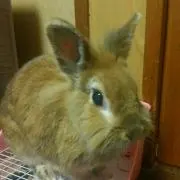 のんちゃま☆