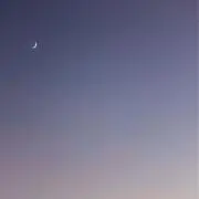 kannの画像