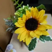 himawari