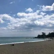 りんこの画像