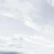 neki*の画像